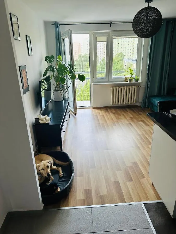 Pet'S House Warsaw Apartment 0*,